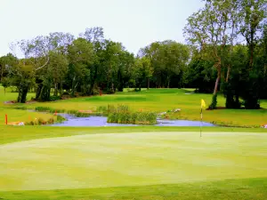 Castle Barna Golf Club