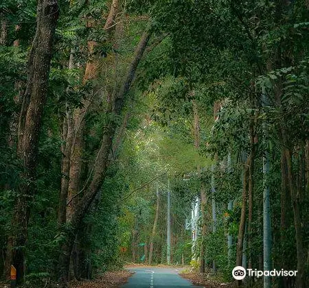 Alas Purwo National Park