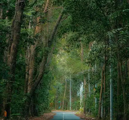 Hotel a Banyuwangi Sub-District