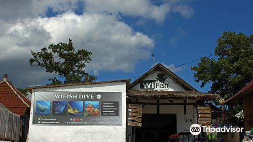 Wi Fish Dive