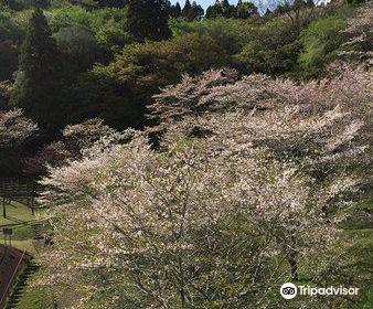 母智丘公園