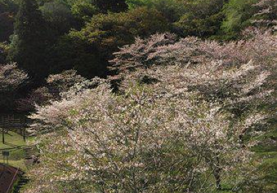 母智丘公園