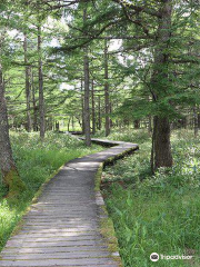 Tateshina Gosensui Nature Park