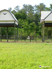 UF Bat Houses