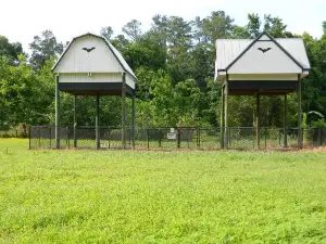 UF Bat Houses