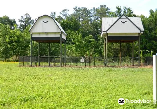 UF Bat Houses