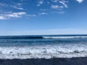 スカボロー・ビーチ州立公園