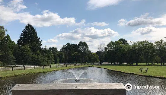 Forest Ridge Preserve
