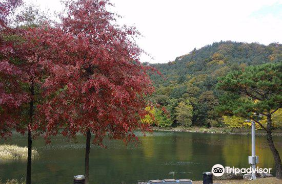 Cheongpyeong Lake