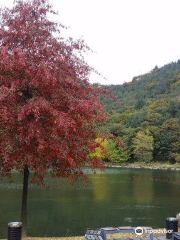 Cheongpyeong Lake