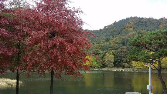 Cheongpyeong Lake