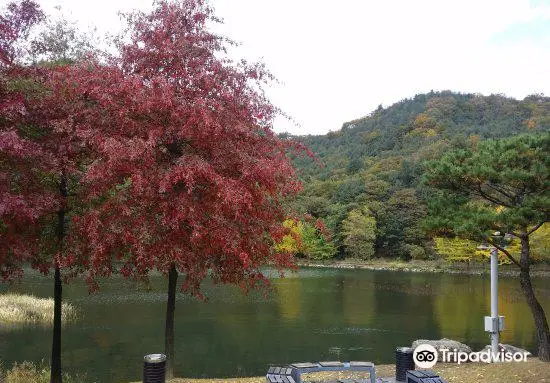 Cheongpyeong Lake