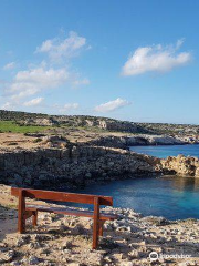 Parco forestale di Capo Greco