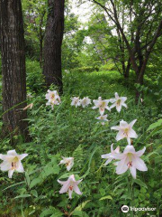 七尾市希望の丘公園