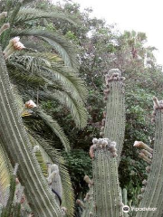 Mossen Costa i Llobera Gardens