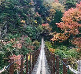 Momigi Suspension Bridge