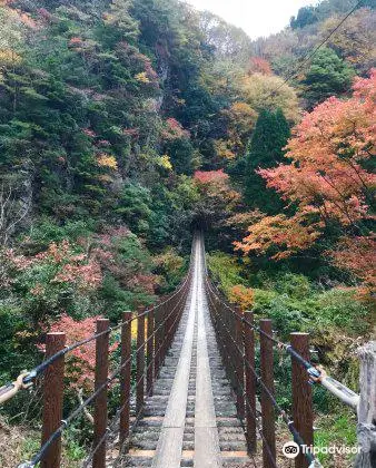 Momigi Suspension Bridge