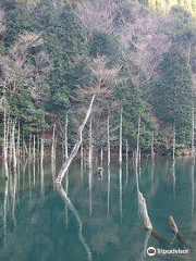 一の俣桜公園