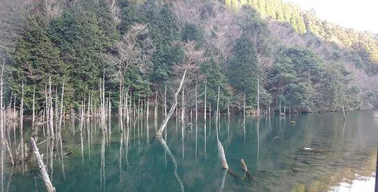 一の俁桜公園