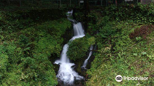 箱島湧水