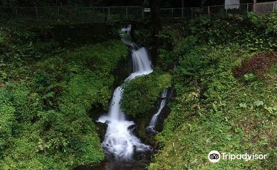 Hakojima Yuusui (Hakojima Natural Spring)