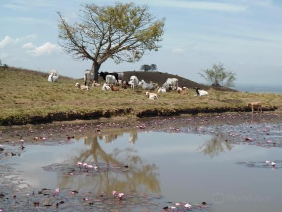 Buga Hostel - Housity