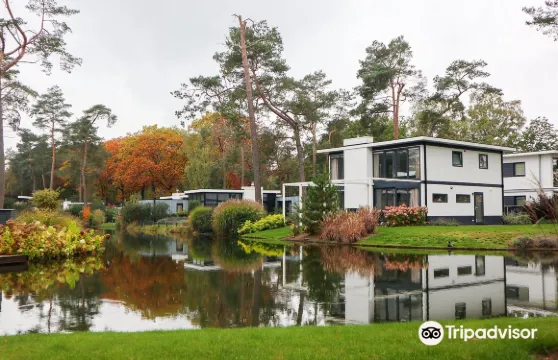 歐洲公園德·桑丁