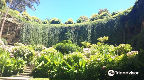 洞穴花園