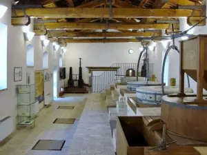 Musei della Cartiera Papale