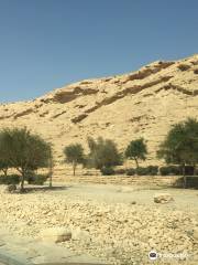 Wadi Hanifah