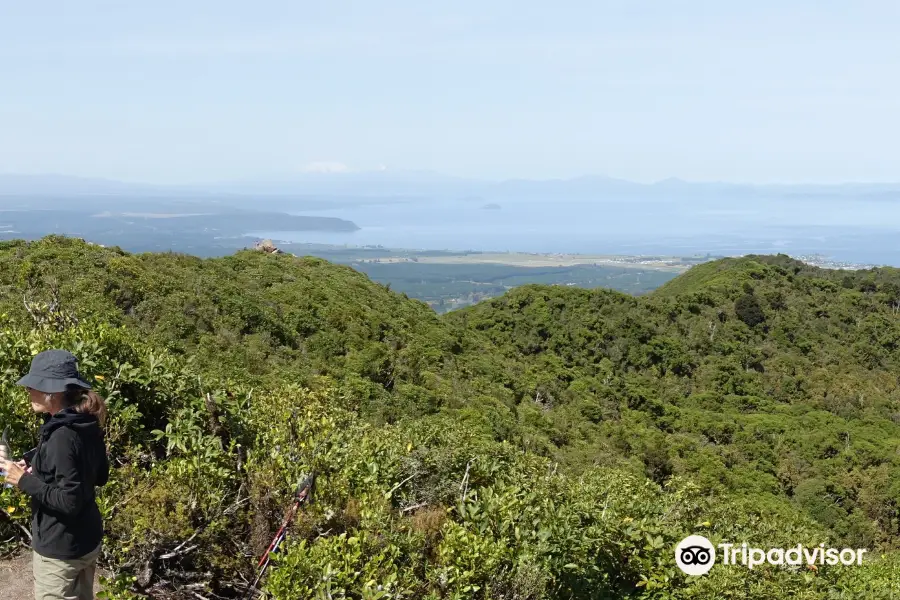 Mount Tauhara