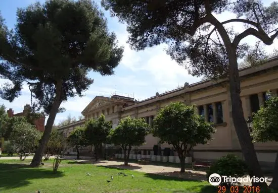 Geology Museum (Museu de Geologia)