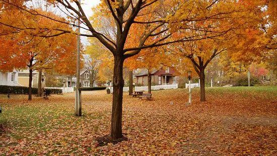 Mill Race Historical Village