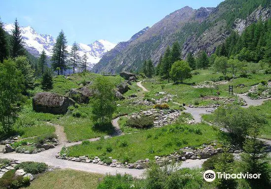 Jardín Alpino Paradisia