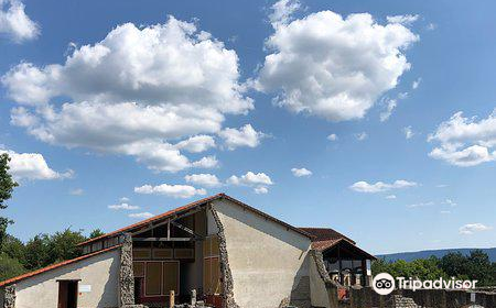 Roman Open Air Museum