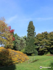 Foundation Arboretum Park Härle