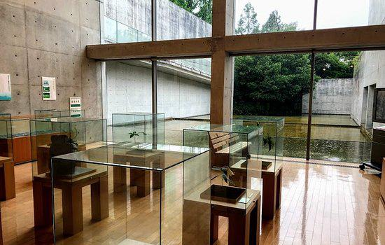 Mt. Yokogura Natural Forest Museum