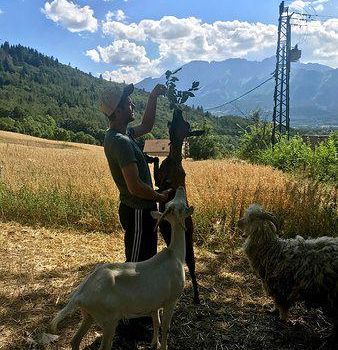 Ferme Pedagogique of the Mouriere
