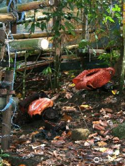 Napalus Rafflesia Garden