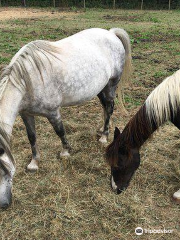 La Dame Blanche - Zoo and Backup Center