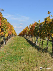 Weingut Markus Tschida