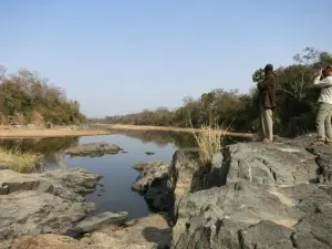 Benoue National Park