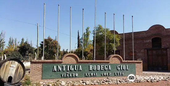 Antigua Bodega Giol