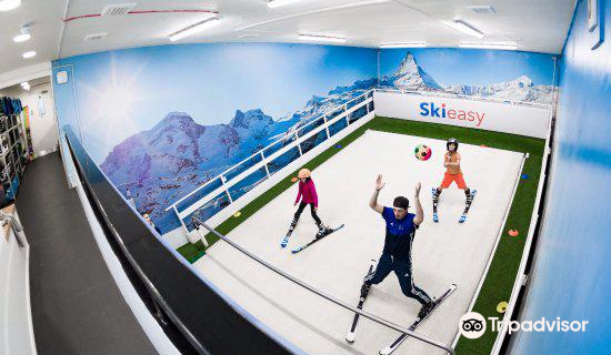Skieasy Indoor Ski Slopes
