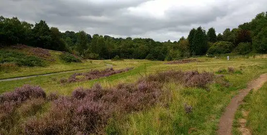Hotels in Wyre Forest District