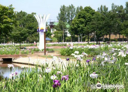 あやめ公園　ふれあい館