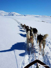 Senja Husky Adventure AS