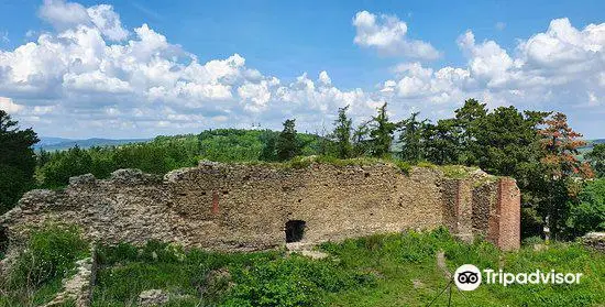 Zricenina hradu Selenburg /hrad Cvilin/