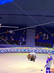 Владивостокский Государственный цирк