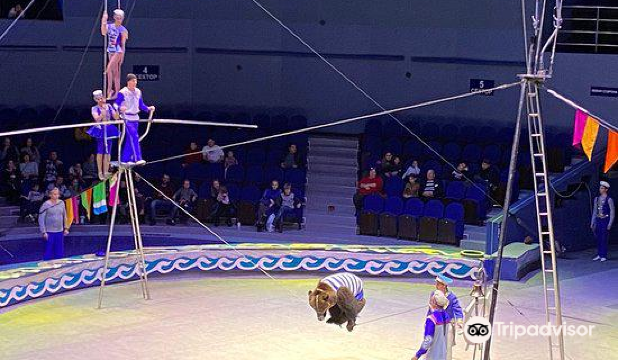 Vladivostok Circus